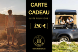 Carte Cadeau Festivan de 10€ à 500€
